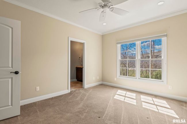 801 Prairie Lake Dr, House other with 4 bedrooms, 4 bathrooms and null parking in Sherman IL | Image 41
