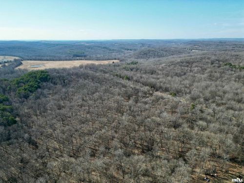 000 Minerva Road, Cave In Rock, IL, 62919 | Card Image