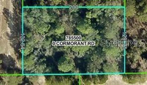 13408 Cormorant Rd, BROOKSVILLE, FL, 34614 | Card Image