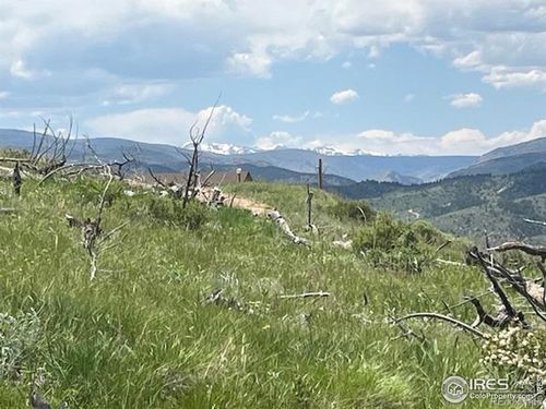 598 Mount Mcconnell Dr, Livermore, CO, 80536 | Card Image