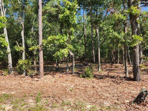 648 Calvary Church Rd, Swansea, SC, 29160-9017 | Card Image