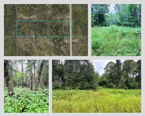 51801 Townhall Rd, Squaw Lake, MN, 56681-2026 | Card Image