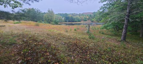 000 Grindleville Road, Blue Hill, ME, 04614 | Card Image