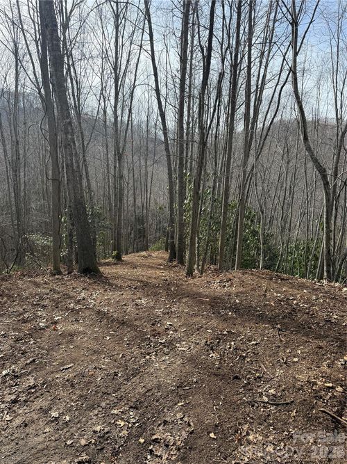 236 Down The Hill Rd, Sylva, NC, 28779-1236 | Card Image