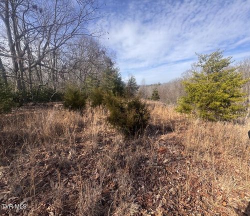 Tbd Jones Cir, Unicoi, TN, 37692 | Card Image