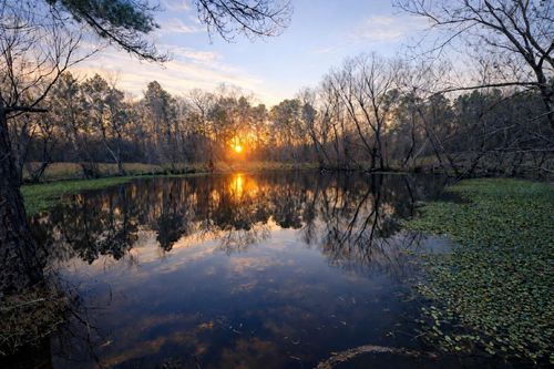 919 Pine Vly, Diboll, TX, 75941-5523 | Card Image