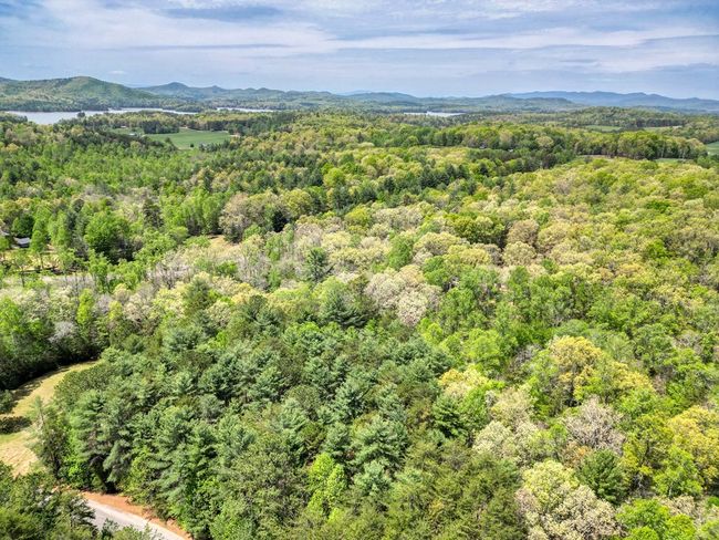 LOT 93 Sanctuary Dr, Home with 0 bedrooms, 0 bathrooms and null parking in Blairsville GA | Image 17
