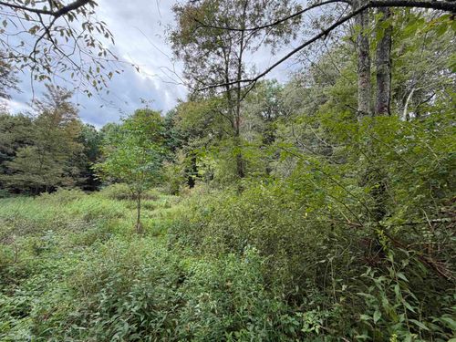 17366A Veterans Memorial Highway, Kingwood, WV, 26537 | Card Image