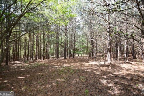 00001 Mountain View Rd, Buchanan, GA, 30113 | Card Image