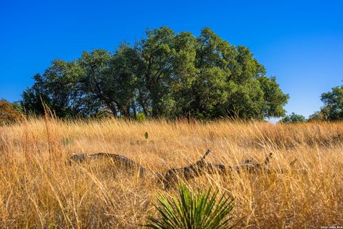 19 Legacy Oaks Dr, Harper, TX, 78631 | Card Image