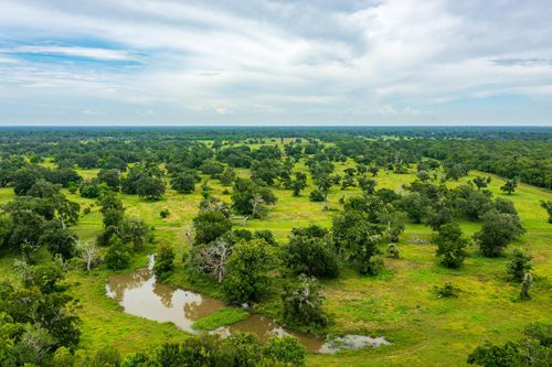 319 County Road 319, Brazoria, TX, 77422 | Card Image