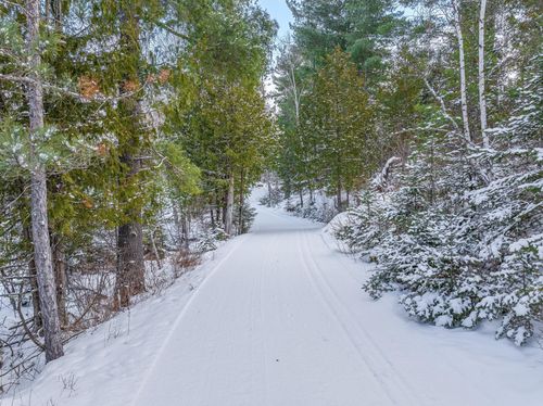 TBD Trezona Drive, Ely, MN, 55731 | Card Image