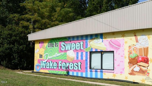 RAL_Wakeforest_Areaphotos_Downtown 8 | Image 21