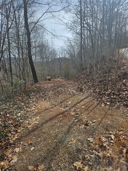 197 Plain View Rdg, Sylva, NC, 28779-1000 | Card Image