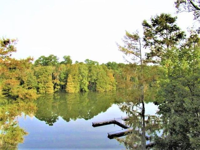 Santee State Park Across the Cove, II & | Image 32
