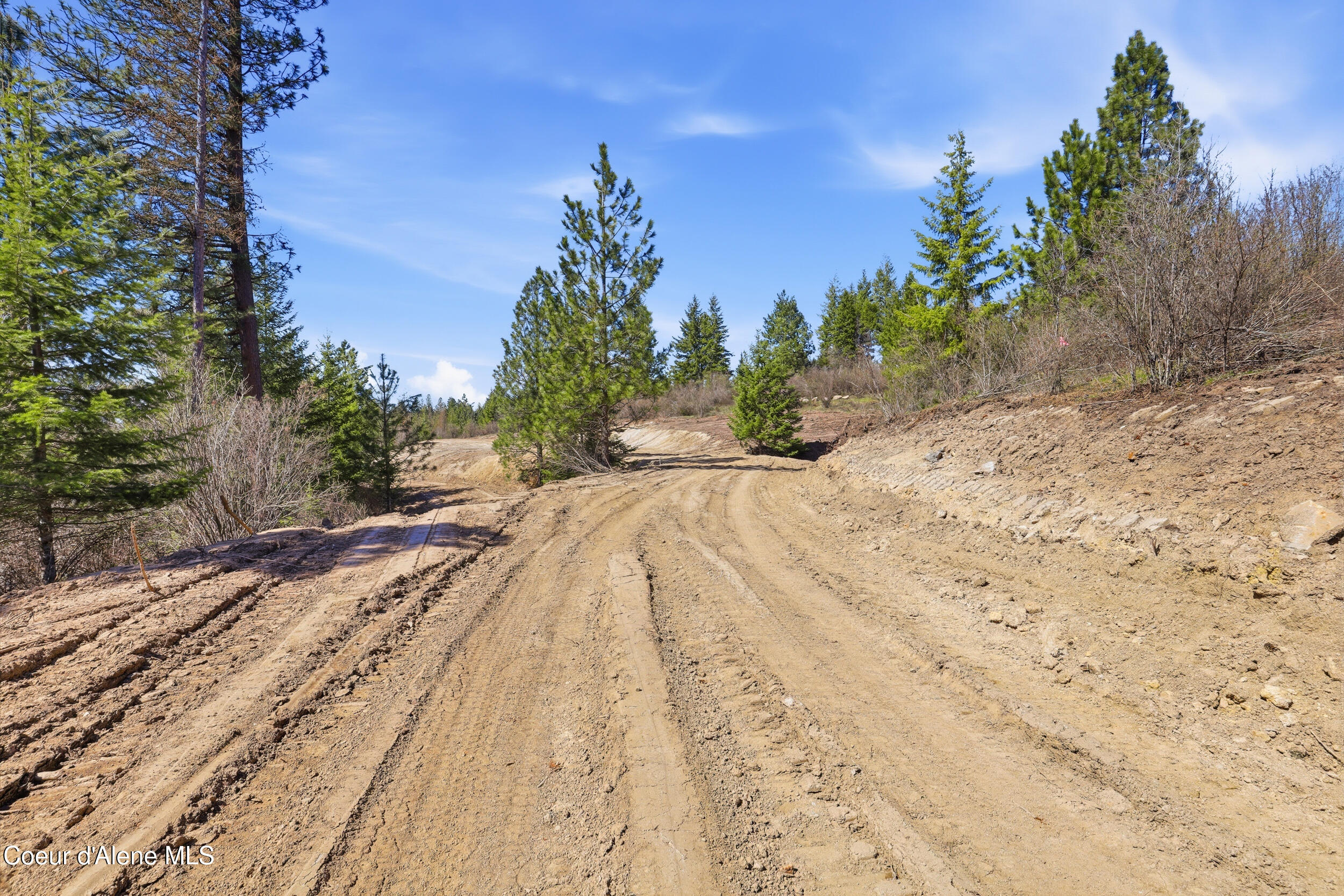 Land in Hayden 5
