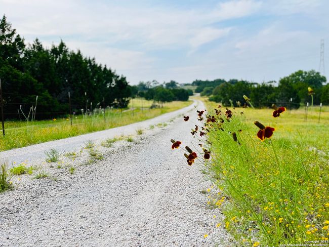 1822 Shepherds Rnch, Home with 0 bedrooms, 0 bathrooms and null parking in Bulverde TX | Image 8