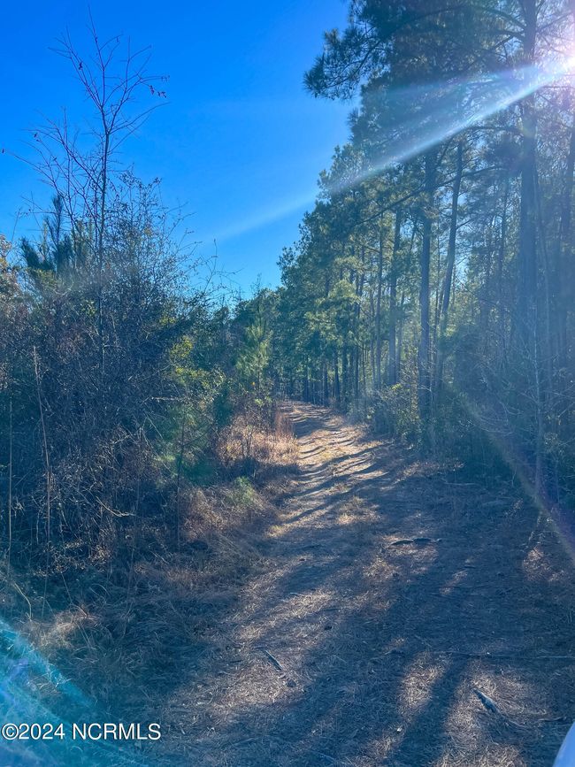 00 Sykes Town Rd, Home with 0 bedrooms, 0 bathrooms and null parking in Currie NC | Image 53