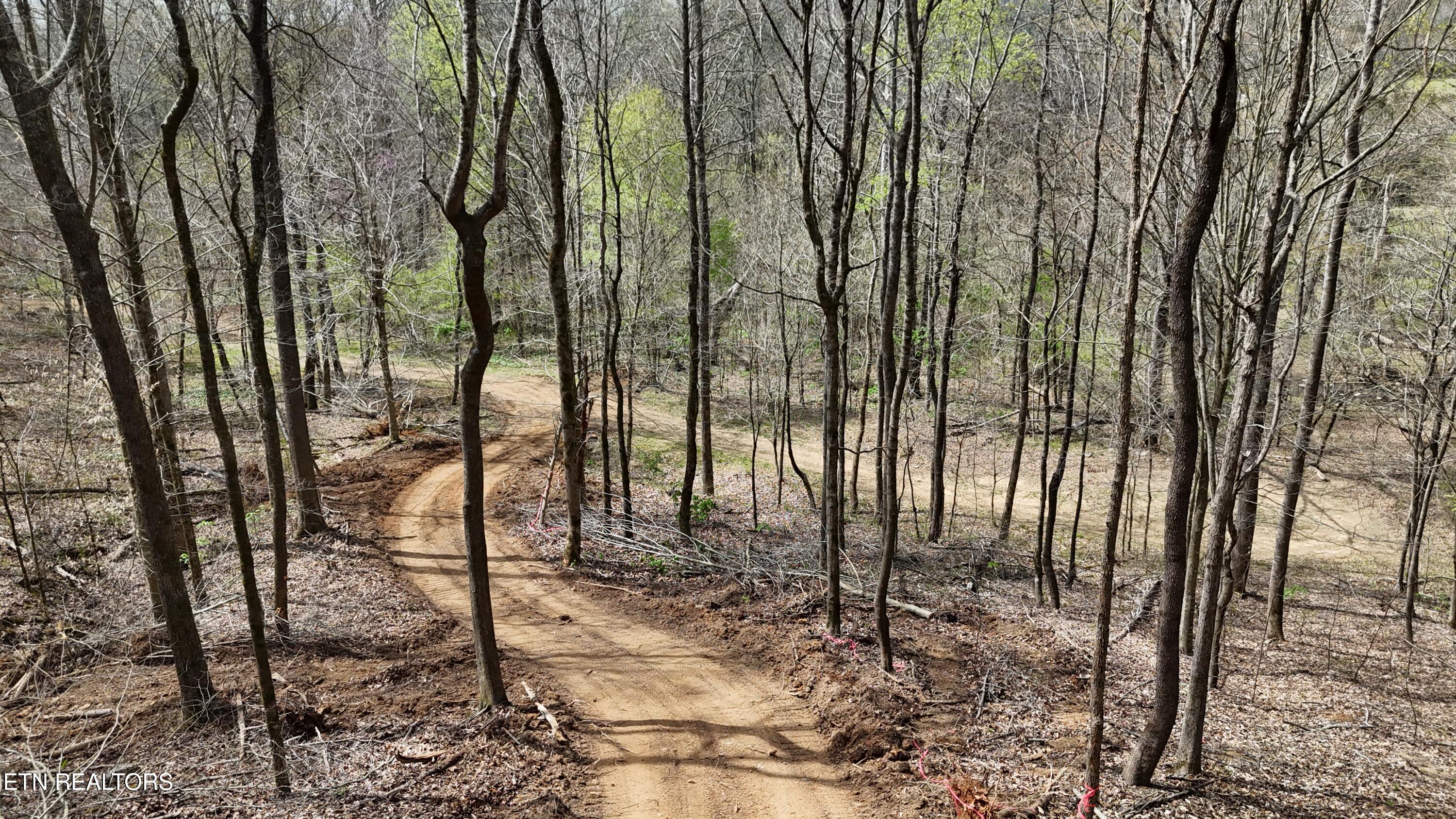 Land in Decatur 5