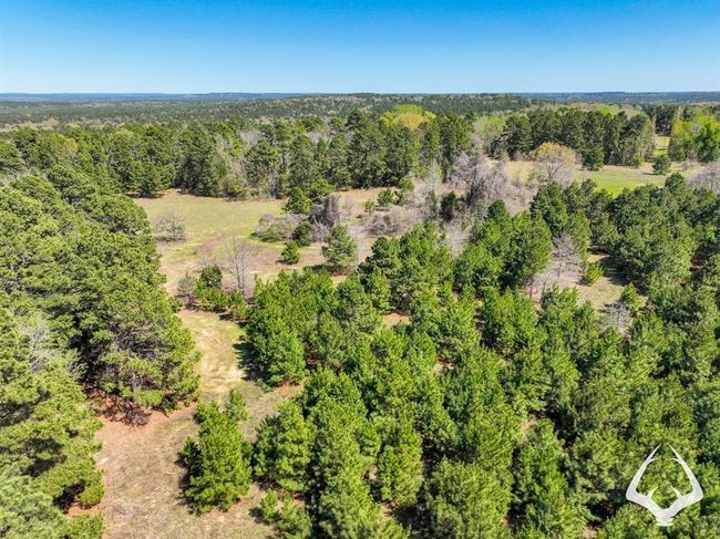 2 E Fm 323, Home with 0 bedrooms, 0 bathrooms and null parking in Palestine TX | Image 5