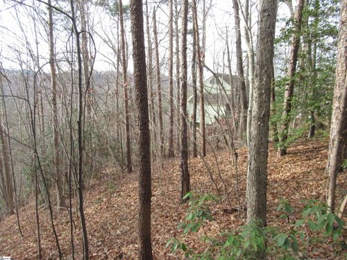 lot-10-whispering-falls-10 Lone Rock Ct, Pickens, SC, 29671 | Card Image