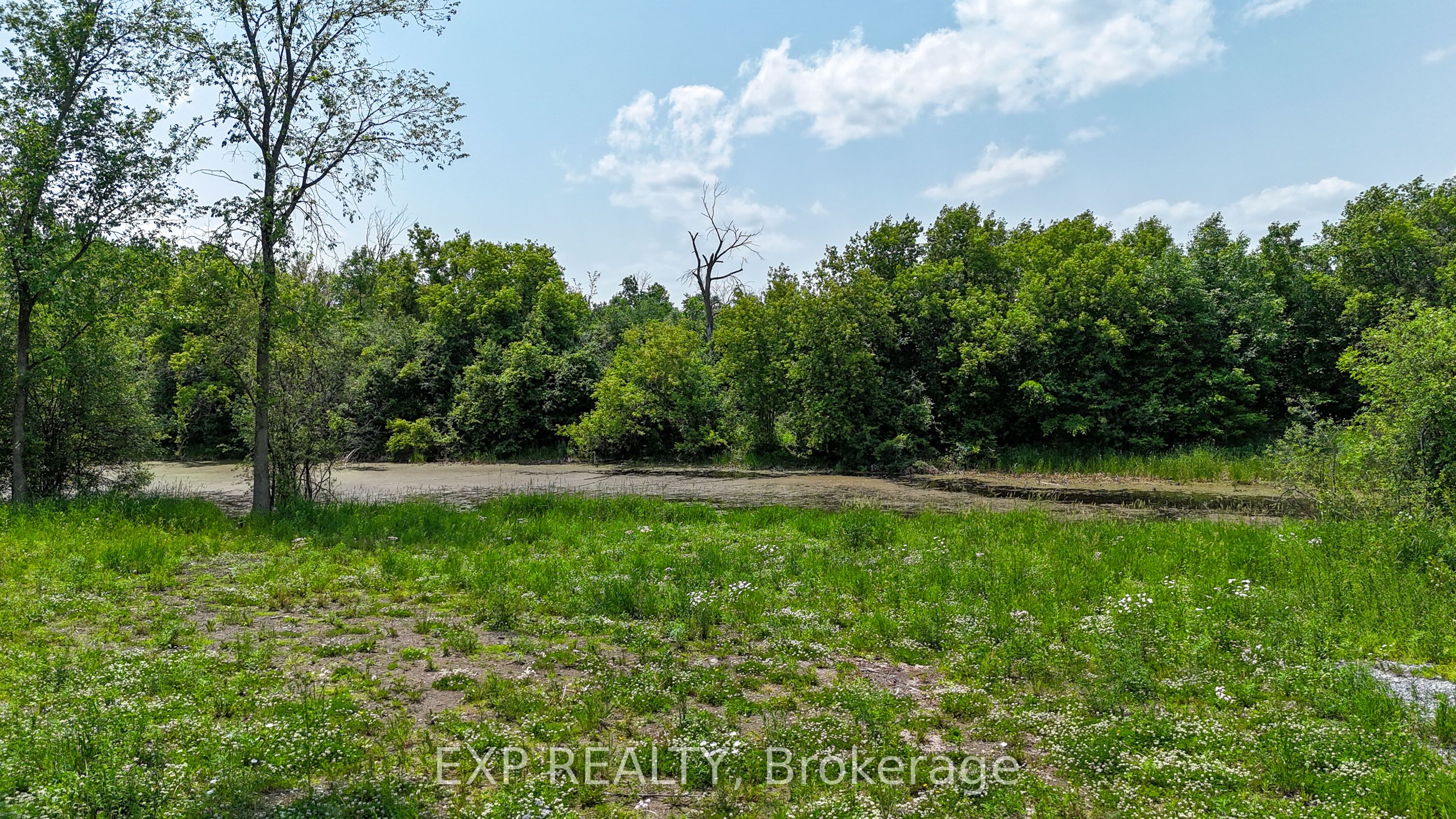 Commercial Sale in Stittsville - Munster - Richmond 4