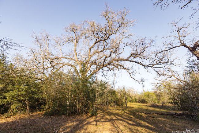 343 Batey Rd, Home with 3 bedrooms, 2 bathrooms and null parking in Nixon TX | Image 37