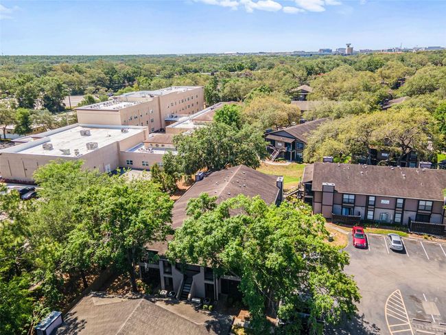 APT-101 - 4035 Angel Oak Ct, Condo with 2 bedrooms, 2 bathrooms and null parking in TAMPA FL | Image 43