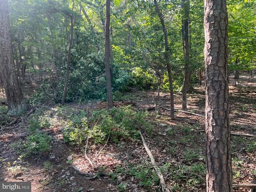 2608 Jackson Dr, HAYMARKET, VA, 20169 | Card Image