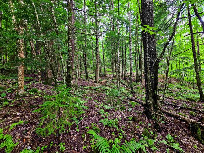 873 Royston Rdg, House other with 2 bedrooms, 0 bathrooms and null parking in Wells River VT | Image 21