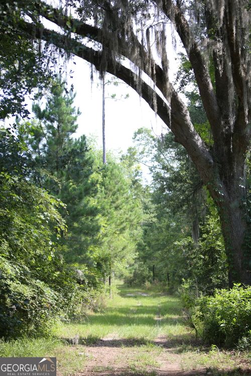 0 Hwy 200, Damascus, GA, 39841 | Card Image