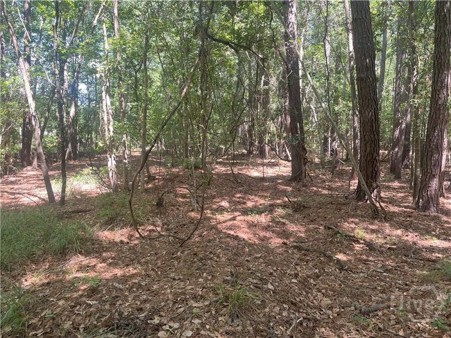 0 Seabrook Ln, Home with 0 bedrooms, 0 bathrooms and null parking in Midway GA | Image 4