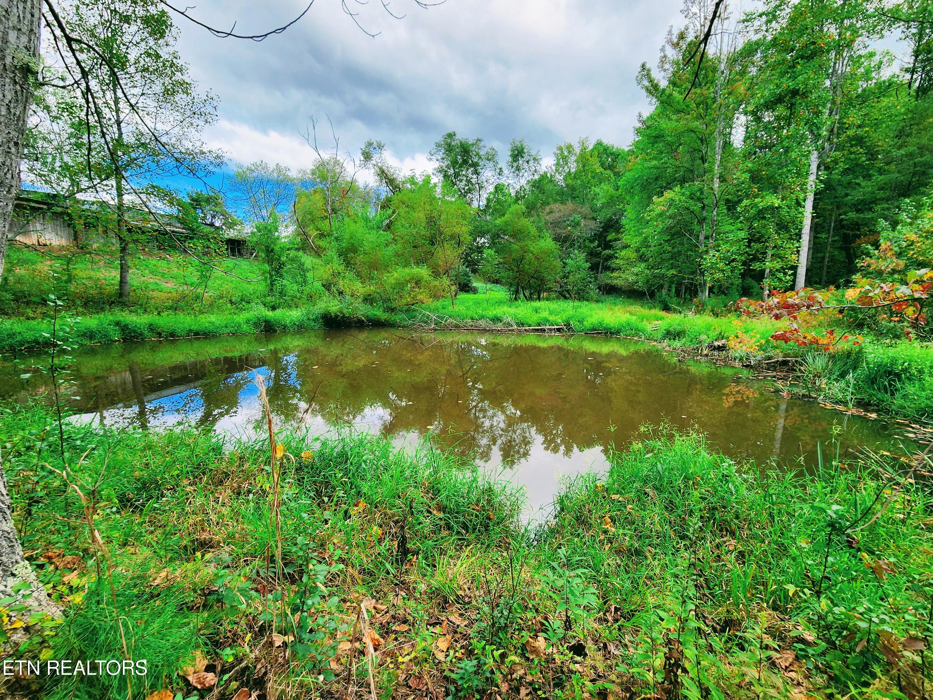 Old Harriman Hwy, Harriman, TN 37748