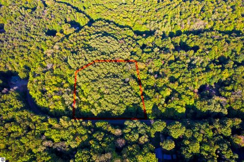 V/L Forestgrove Drive, Elmira, MI, 49730 | Card Image