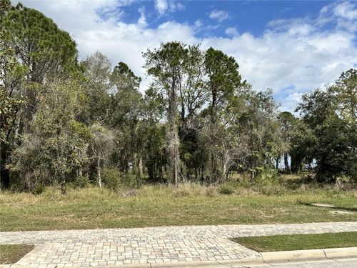 17233 Etruscan Lane, BELLA COLLINA, FL, 34756 | Card Image