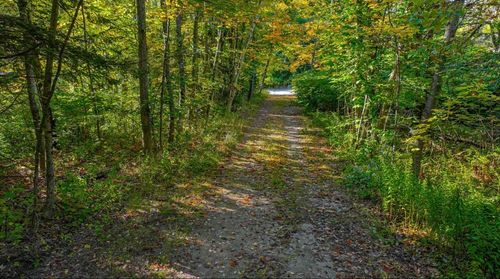 551 Old Bartlett Road, Conway, NH, 03818 | Card Image