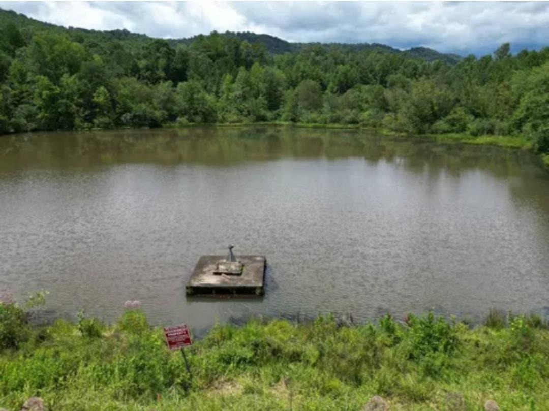Land in Pickens 5