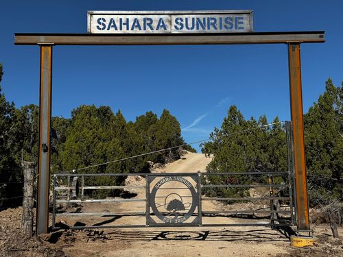 41-8966 W Maple Crest Ln S, Eureka, UT, 84628 | Card Image