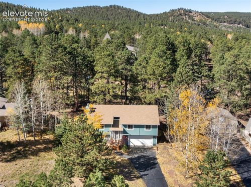 750 W Northwoods Drive, Woodland Park, CO, 80863 | Card Image