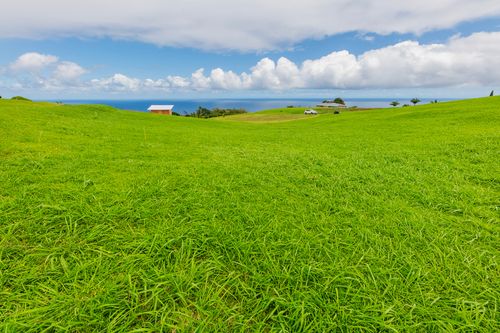 36-3358 Kuwili Lani Pl, LAUPAHOEHOE, HI, 96764-1004 | Card Image