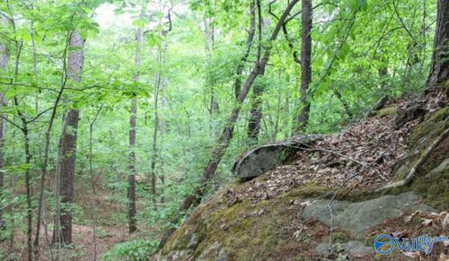 Lot 11 Bear Creek Rd Se, Fort Payne, AL, 35967 | Card Image