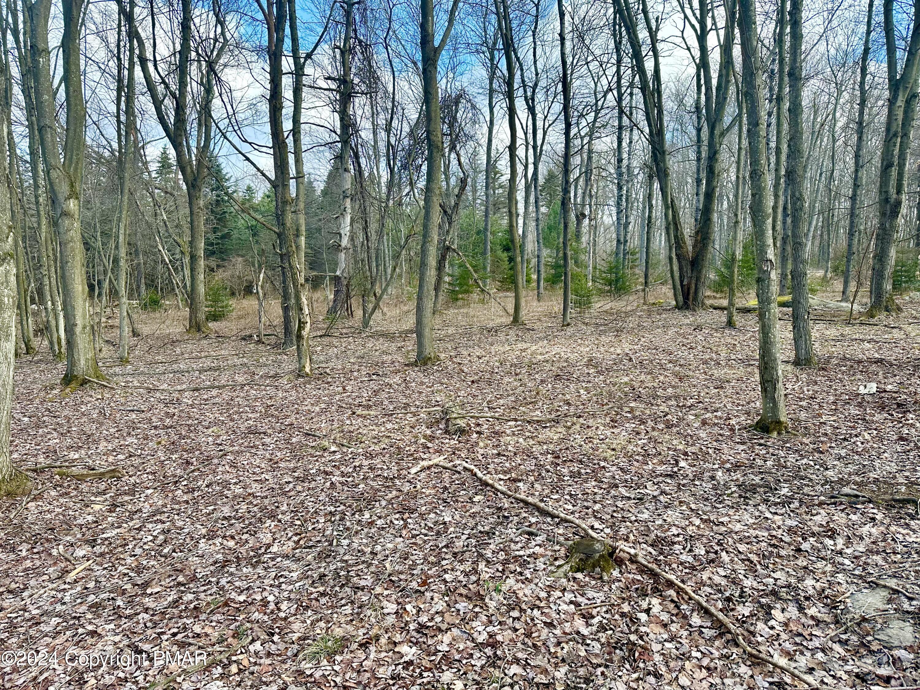 Land in Gouldsboro 5