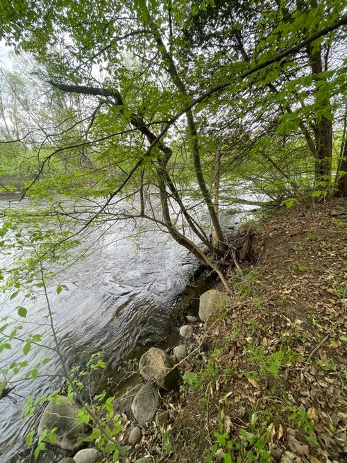 Unit 4 S Branch Ln, Hesperia, MI, 49421 | Card Image