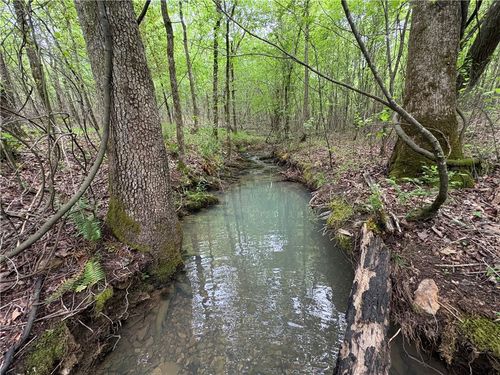 7 Nwf 517, Other AR, AR, 71935 | Card Image