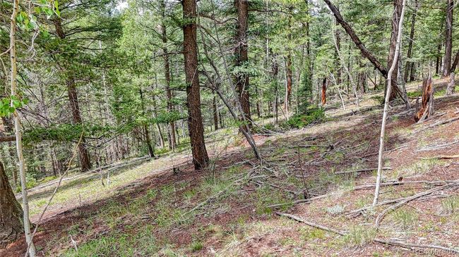 94 Mariposa Cir, Home with 0 bedrooms, 0 bathrooms and null parking in Cripple Creek CO | Image 15