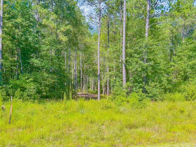 9010 Carter Ranch Rd, Home with 0 bedrooms, 0 bathrooms and null parking in Kountze TX | Image 6