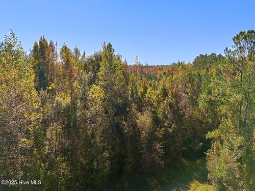 24451 50, Maple Hill, NC, 28454 | Card Image