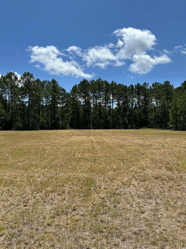 218 Samworth Loop, Home with 0 bedrooms, 0 bathrooms and null parking in Georgetown SC | Image 6