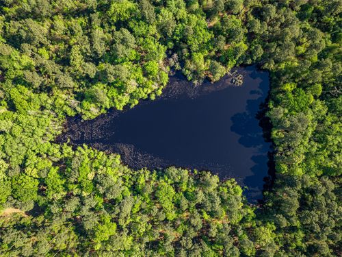 01 County Rd, Leesburg, TX, 75451 | Card Image