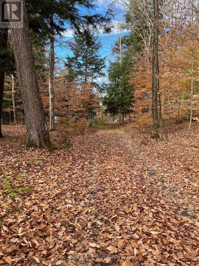 1358 Kushog Lake Rd, House other with 4 bedrooms, 3 bathrooms and 6 parking in Algonquin Highlands ON | Image 46